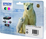 __Epson_26XL T2636  Epson_XP-600 /605/700/800